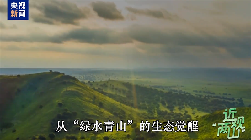  树木，也是树人